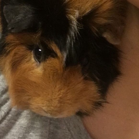 Meet your Posher, Tiffany - Picture 1 of 1